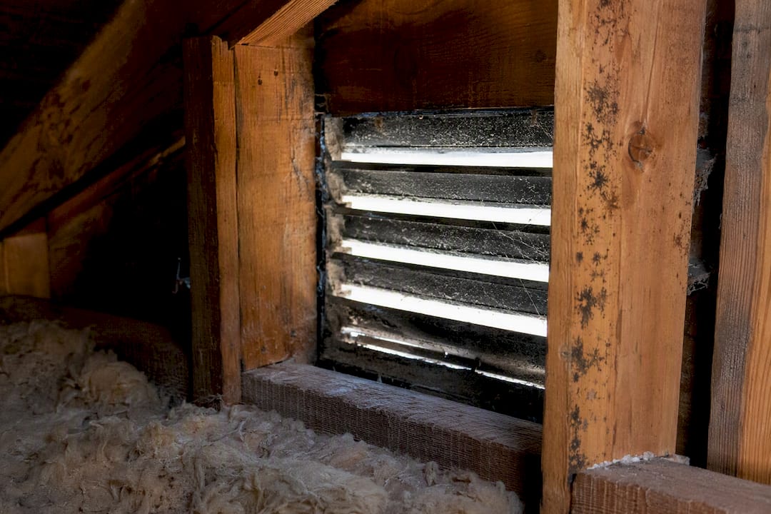 Attic vent showing poor airflow and mold signs