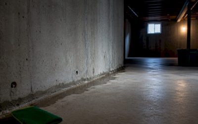 Homeowners: Diagnose Basement Moisture in 48 Hours, Avoid $10,000 Fixes