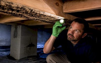 Check Crawl Space Mold Before Closing: Test and Document for Buyers