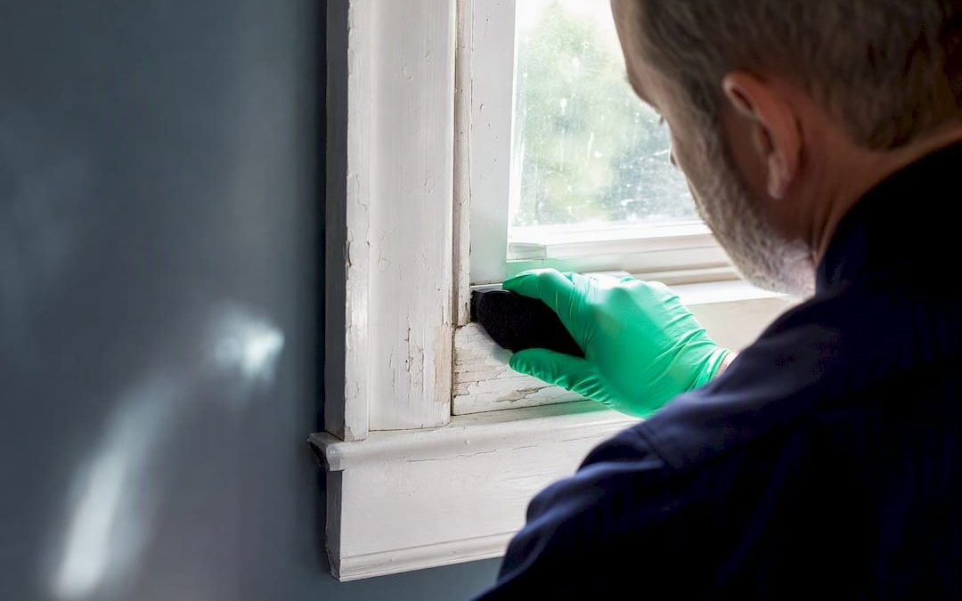 Inspector testing painted window trim for lead