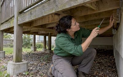 Homeowners’ Deck Safety Inspection: Probe Tests & Industry Standards