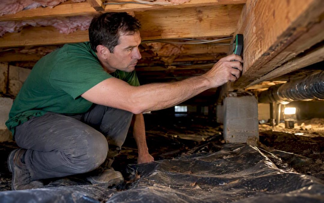 Inspector measuring moisture on crawl space framing